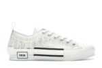 Dior B23 Low Top Oblique White