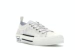 Dior B23 Low Top Oblique White