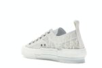 Dior B23 Low Top Oblique White