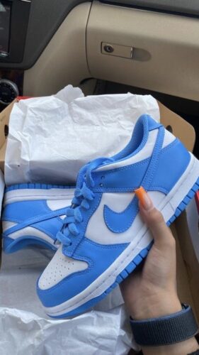 Nike Dunk Low UNC photo review