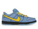 Nike SB Dunk Low The Powerpuff Girls Bubbles