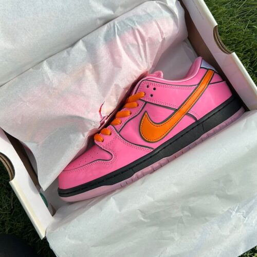 Nike SB Dunk Low The Powerpuff Girls Blossom photo review